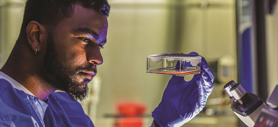 Graduate student looking at a glass test dish nearby a microscope in a laboratory.